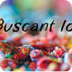 BUSCANT IDEES