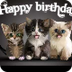 Happy Birthday cats