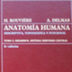 ROUVIERE's anatomy 9ed T3