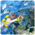 Belize Barrier Reef