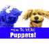 How To Make A Puppet! 