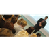 Real Estate Appraiser License