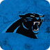 Carolina Panthers (@Panthers) 