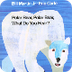 Polar Bear Polar Bear What Do