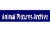 Animal Pictures Archive