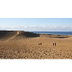 Tottori JALT