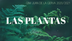LAS PLANTAS 1º by maestralidia