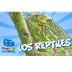 Los Reptiles | Videos Educativ