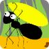 Ant Facts For Kids