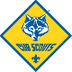 Cub Scout Requirements