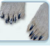 Animal Feet adaptations