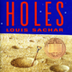 Holes Book Trailer