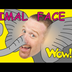 Animal Face for Kids + MORE |
