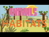 Animals habitats!