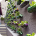 Awesome Vertical Garden With R