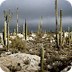 Deserts -- National Geographic