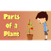 Parts of a Plant | Videos for 