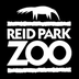 Lion - Reid Park Zoo