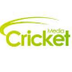 D Day Cricket