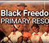 Black Freedom Struggles