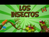 LOS INSECTOS | Vídeos Educativ