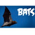 All About Bats for Kids: Anima