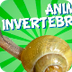 Animales Invertebrados | Video
