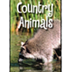 Country Animals