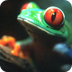 Red-Eyed Tree Frog-R. Alliance