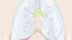 Aparato respiratorio (Primaria