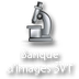 Banque d'images SVT
