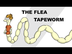 The Flea Tapeworm (Dipylidium