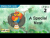 A Special Nest: Learn English