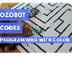 Ozobot Codes: Programming for 