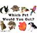 Which Pet Should I Get?