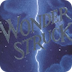 Wonderstruck website