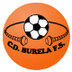 CD Burela FS