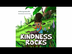 Kindness Rocks by Sonica Ellis