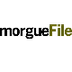 morgueFile free photos