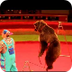 Bear at Circus- Astana Kazakhs