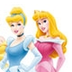 Prins en prinses