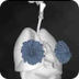 Órganos 3D (anatomía) - Aplica