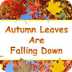 Autumn Leaves Are Falling Down
