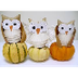 KidWings Virtual Owl Pellet Di