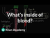 What's inside of blood? | Lab