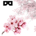 CherryBlossom VR