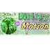 Biology in Motion