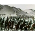 Egipto antiguo y sus costumbre