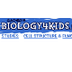 Biology4Kids: Digestive System
