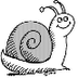 Snails for kids and teachers -